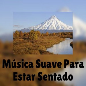 Album Música Suave para Estar Sentado from Musica Para Relajarse