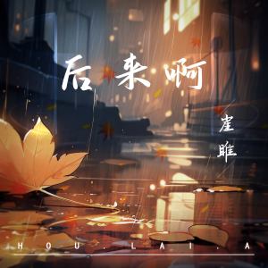 崖雎的專輯後來啊