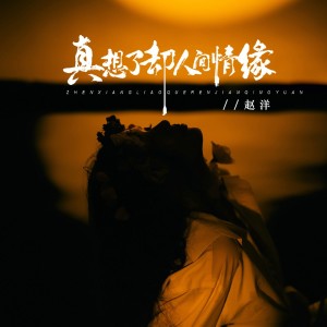Album 真想了却人间情缘 from 赵洋