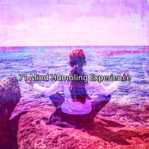 Album 71 Mind Humbling Experience from Meditation Spa
