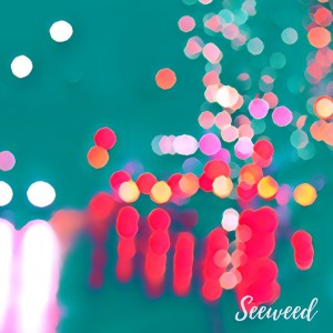 Listen to Viability song with lyrics from Seeweed