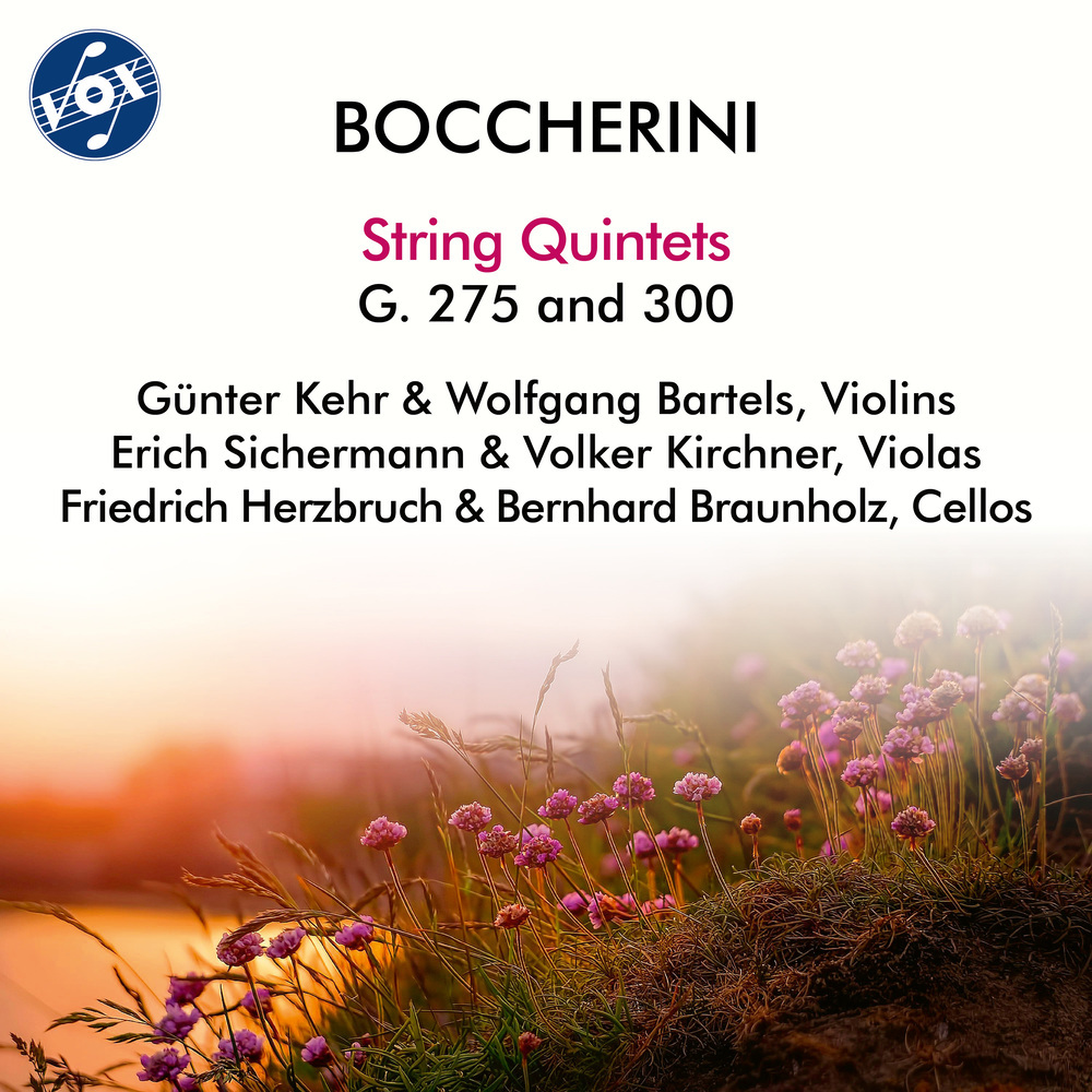 String Quintet No. 11 in E Major, Op. 11 No. 5, G. 275: II. Allegro con spirito
