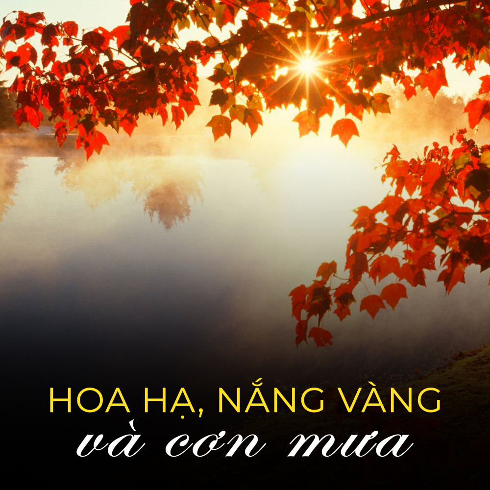 Thu bạn bè