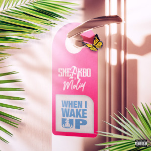 ดาวน์โหลดและฟังเพลง When I Wake Up (feat. Moliy) (Explicit) พร้อมเนื้อเพลงจาก Sneakbo