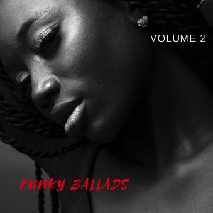 收聽Funky Ballads的Sexual Healing歌詞歌曲