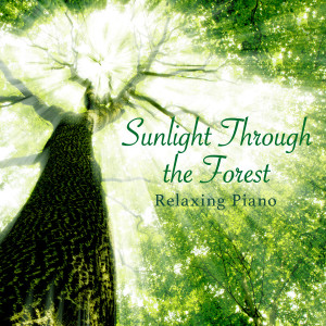 Relax α Wave的专辑Sunlight Through the Forest ~ Relaxing Piano