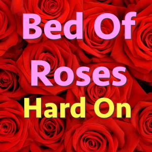 Listen to Bed of Roses song with lyrics from Hard On
