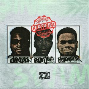 Album Certified (Explicit) from Runjozi