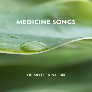Album Medicine Songs of Mother Nature (Peaceful Nature Oasis, Gentle Music for Relaxation and Meditation) from Mothers Nature Music Academy