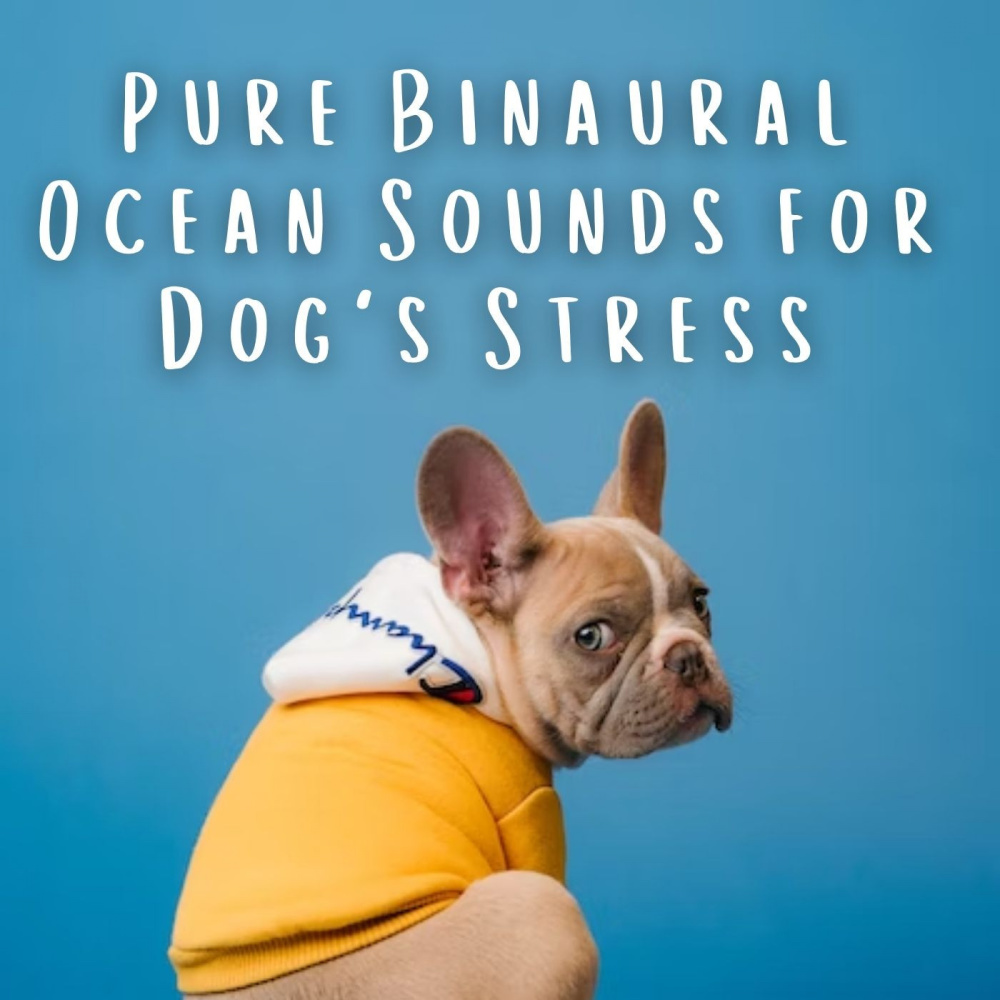 Tropical Waters for Canines