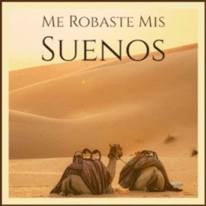 Various的专辑Me Robaste Mis Suenos