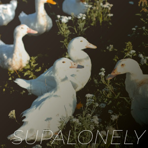 Album Supalonely (Explicit) from Starlite Karaoke