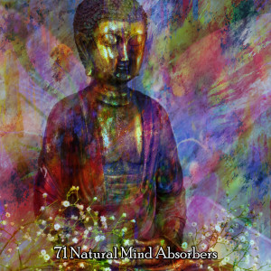 อัลบัม 71 Natural Mind Absorbers ศิลปิน Lullabies for Deep Meditation