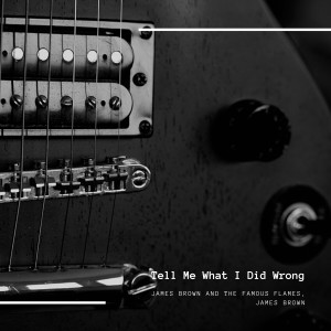 อัลบัม Tell Me What I Did Wrong ศิลปิน The Famous Flames