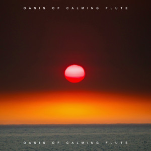 ดาวน์โหลดและฟังเพลง Ritual Melodies พร้อมเนื้อเพลงจาก Relaxing Flute Music Zone