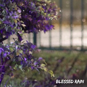 Album Blessed Rain from Saymon Cleiton