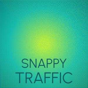 Album Snappy Traffic from Various