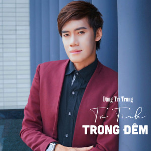 Đặng Trí Trung的专辑Tự Tình Trong Đêm #1