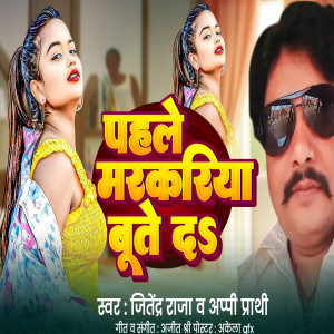 收聽Jitendra Raja的Pahile Markariya Bute Da歌詞歌曲