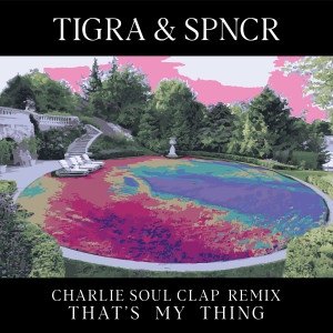 ดาวน์โหลดและฟังเพลง That's My Thing (Lonely C Remix) (Charlie Soul Clap Remix) พร้อมเนื้อเพลงจาก Tigra