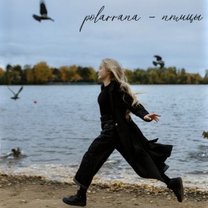 Listen to Птицы song with lyrics from Polarrana