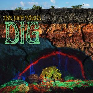 收聽The Grip Weeds的Lies歌詞歌曲