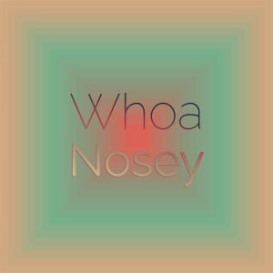 Album Whoa Nosey from Various