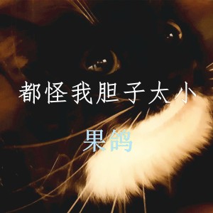 Album 都怪我胆子太小 from 果鸽