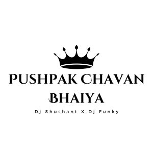 Album Pushpak Chavan Bhaiya The Boss from DJ Funky