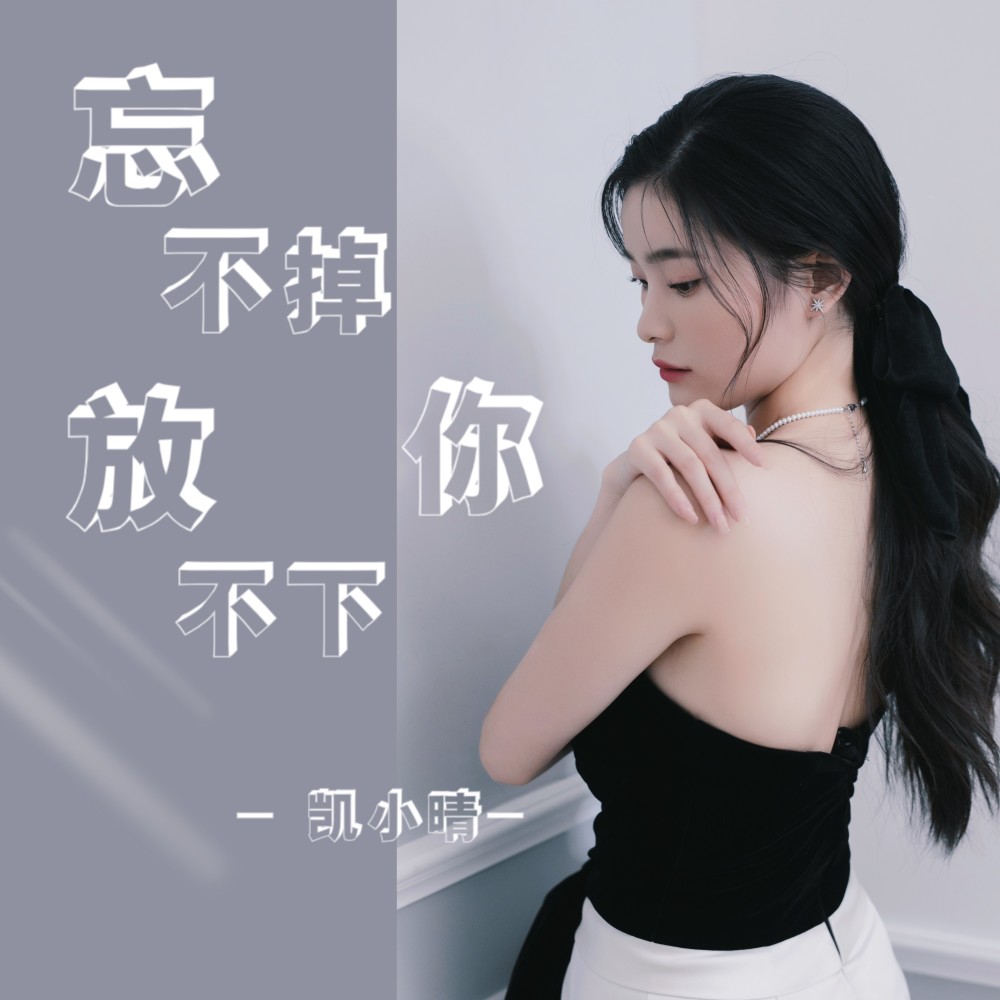 忘不掉你放不下你（DJ版阳少版） (完整版)