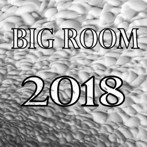 Asswel的专辑Big Room 2018