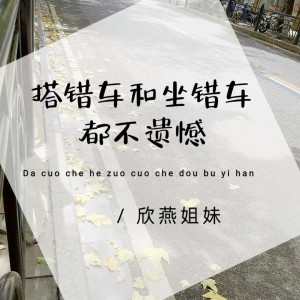 Album 搭错车和坐错车都不遗憾 from 大欣小燕
