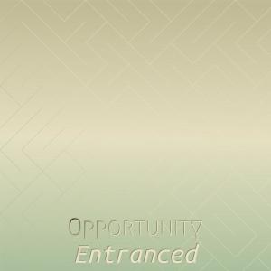 收听Mala Sevic的Unsalty Passion歌词歌曲