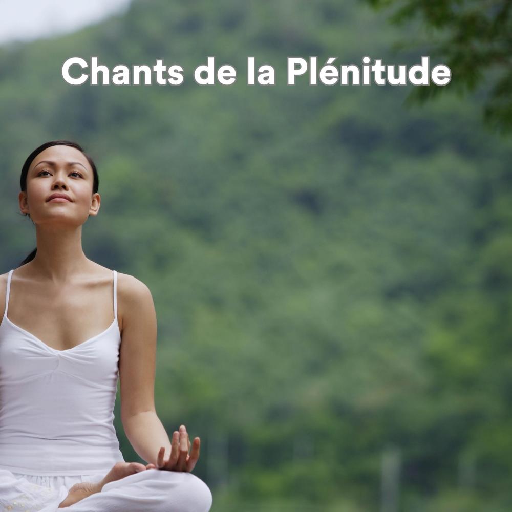 L'équilibre émotionnel retrouvé (Musique de détente et de méditation)