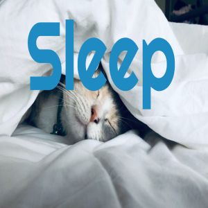 Listen to Infinity song with lyrics from To Sleep