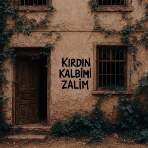 Album Kırdın Kalbimi Zalim from 