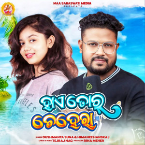 Himanee Hansraj的专辑Hai Tor Chehera