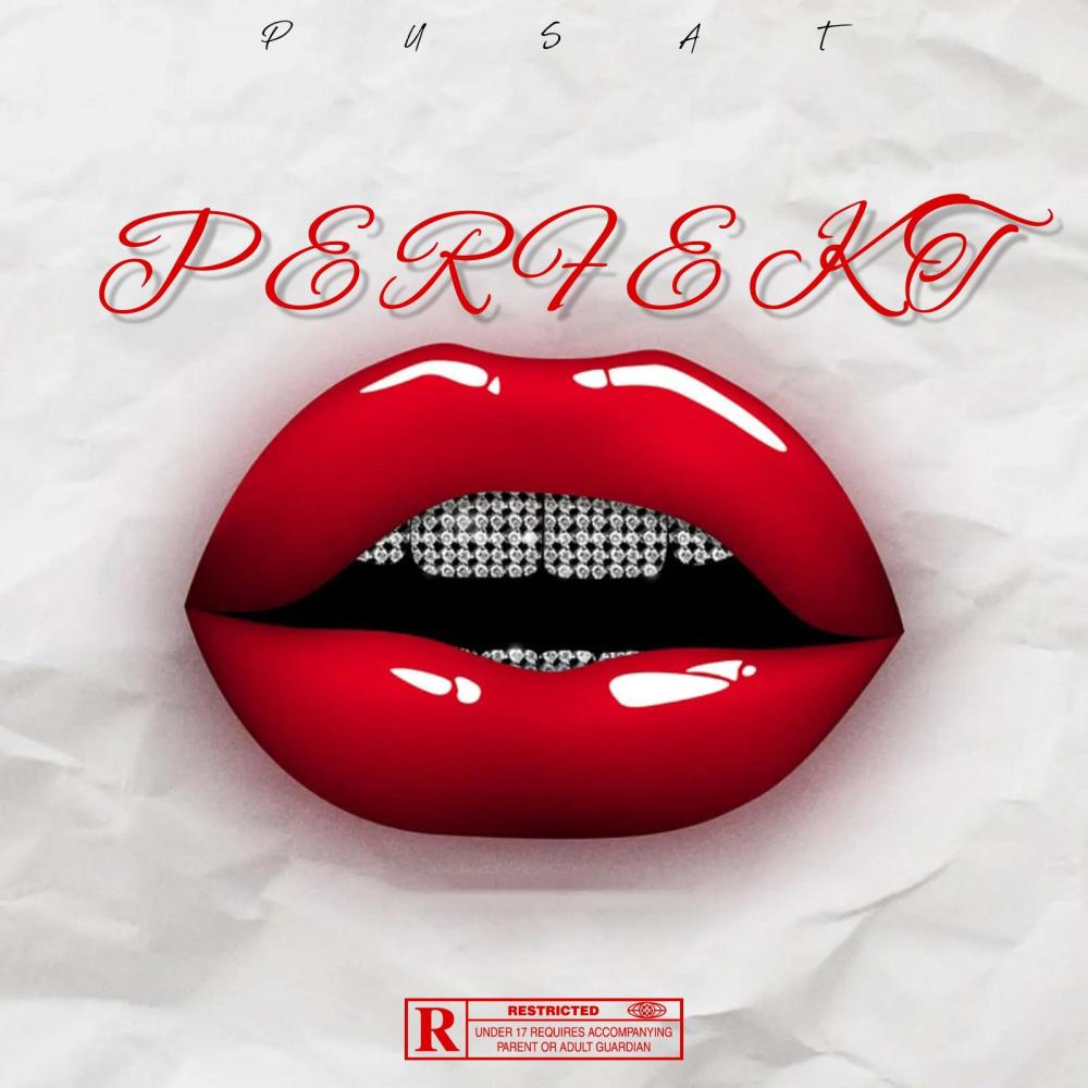 PERFEKT (feat. Gbg Es) (Explicit)