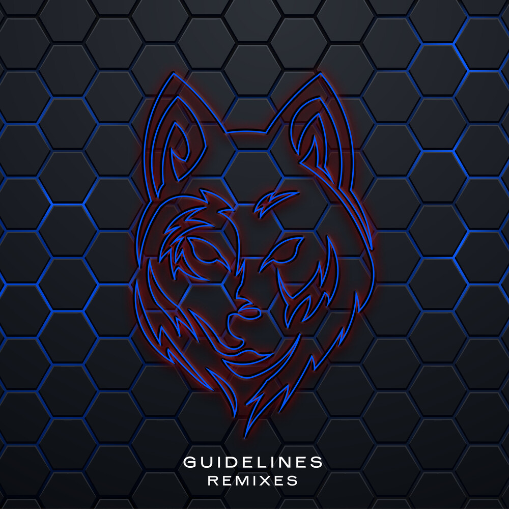 Guidelines (Amyss, Willy Van Florence Remix|Explicit)
