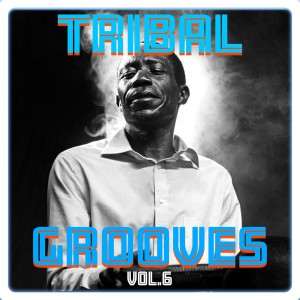 Tribal Grooves Vol. 6