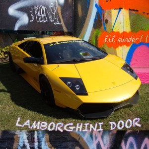 Lamborghini Door