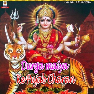 Listen to Durga Maiya Ke Pujab Charan song with lyrics from Birjan Raj Premi