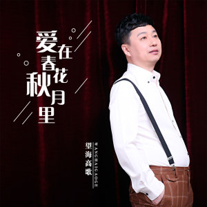 收聽望海高歌的愛在春花秋月裏 (DJ版)歌詞歌曲