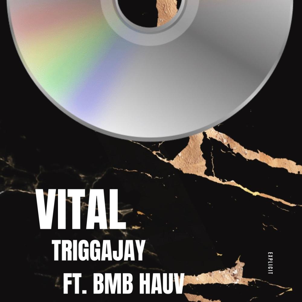 Vital (feat. BMB Hauv) (Explicit)