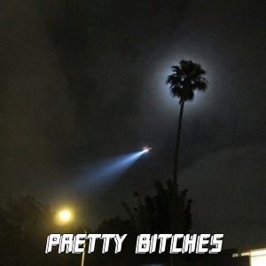 ดาวน์โหลดและฟังเพลง Pretty Bitches (Explicit) พร้อมเนื้อเพลงจาก SOLDAMNE