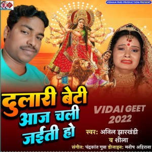 Album Dulari Beti Aaj Chali Jaite Ho oleh Shila