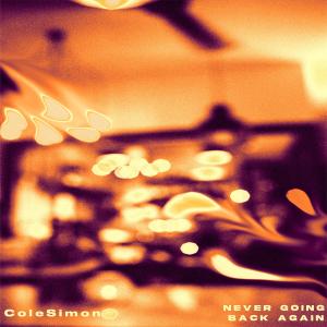 Album Never Going Back Again from Cole Simon
