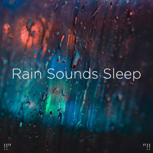 收聽Rain Sounds的Rain Sounds歌詞歌曲