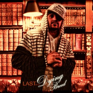 Listen to We Hip Hop (feat. Sadat X) (Explicit) song with lyrics from Ree-Up