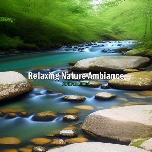 收聽Natural Sound的Relaxing Nature Ambiance, Pt. 4歌詞歌曲
